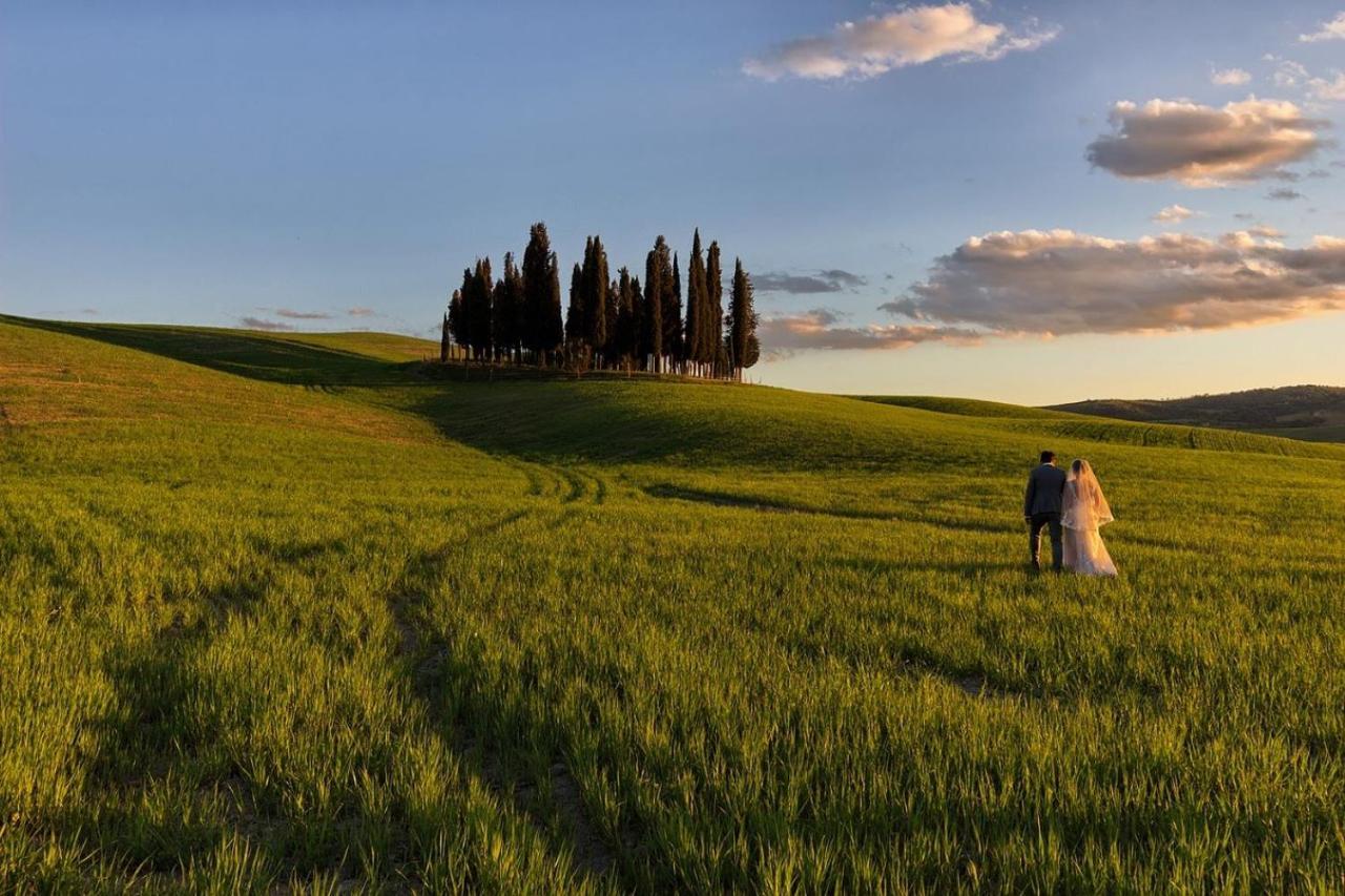 Ferienwohnung L' Antica Oliviera D'Orcia San Quirico dʼOrcia Exterior foto