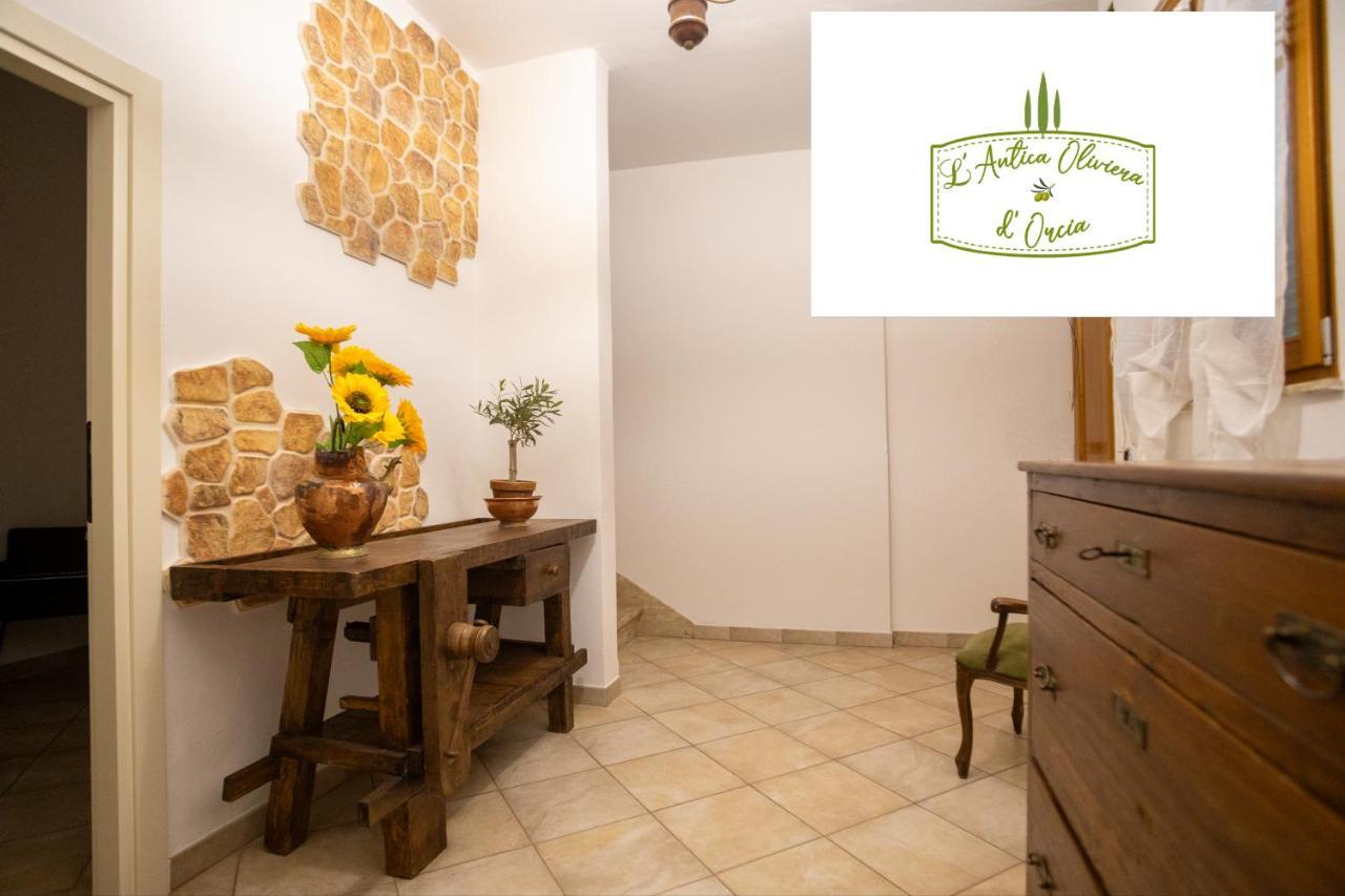 Ferienwohnung L' Antica Oliviera D'Orcia San Quirico dʼOrcia Exterior foto